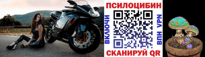 как найти   Голицыно  Галлюциногенные грибы мицелий 